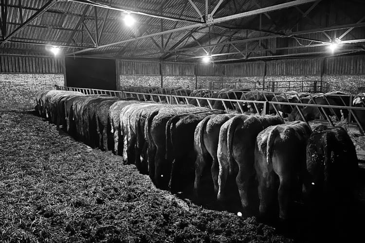 The Price of a Shift: Generational Labour, Biopolitical Extraction, and the Domestic Subsidy of Capital